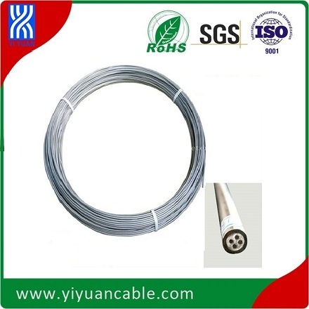 Stainless Steel Sheath J Type 8.0mm Duplex Thermocouple Cable