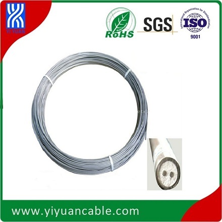 Industrial J Type 0.5mm Diameter Simplex 2-Core Mi Thermocouple Cable